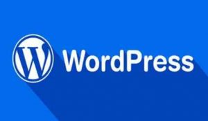 wordpress主题开发模板函数大全整理收藏-大雄搜集站