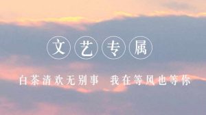 精选200条语录文艺范专属系列-大雄搜集站