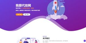 一款简洁大气的代挂官网引导HTML源码-大雄搜集站