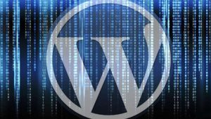 WordPress网站上线后需要做哪些步骤来提升优化?-大雄搜集站