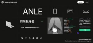 前端酷黑风格个人主页+引导页带验证码源码-大雄搜集站