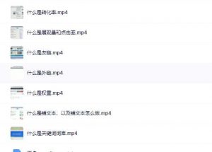 SEO优化名词+基础软件使用(小白必看 )-大雄搜集站