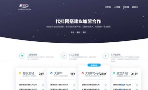 很好看的引导购买页会员组别开通准挂搭建源码-大雄搜集站