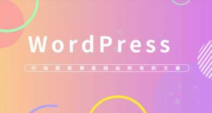 代码获取WordPress网站全部文章链接便于提交收录等简洁版-大雄搜集站