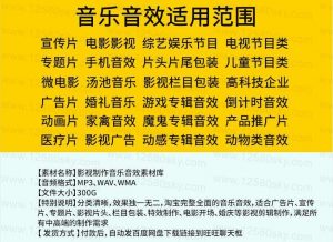 某宝买的音乐音效配乐素材库-大雄搜集站