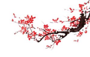 给网站右上角添加好看的古风梅花代码分享-大雄搜集站