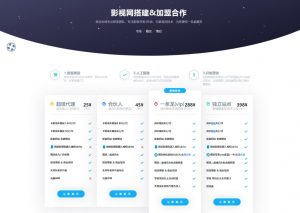 极简大气VIP会员介绍HTML单页源码-大雄搜集站