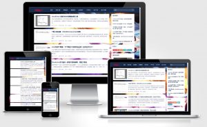 WordPress个人博客主题wp-Concise-v1.0-大雄搜集站
