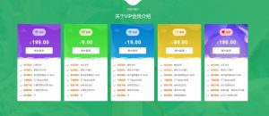 漂亮大气VIP会员介绍官网页面html源码-大雄搜集站