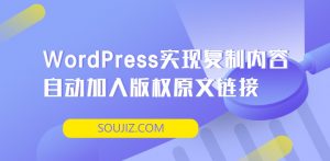 WordPress实现复制内容自动加入版权原文链接-大雄搜集站