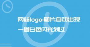 网站logo-图片自动出现一道白色闪光划过-大雄搜集站