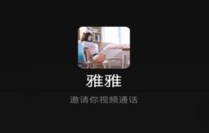 恶搞好友之伪视频通话模板偷拍源码-大雄搜集站