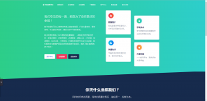 栀子花Birth授权检测系统-大雄搜集站