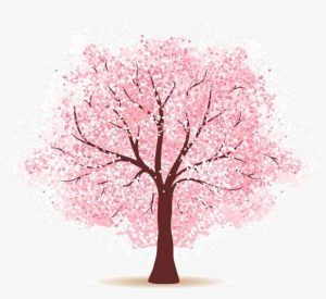 樱花表白墙网站源码[有置顶功能]-大雄搜集站