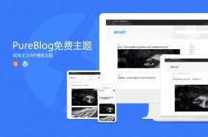 Pure Blog-极简的WordPress博客主题-大雄搜集站
