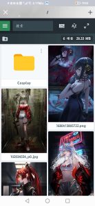 PHP源码图片文件管理功能系统-大雄搜集站