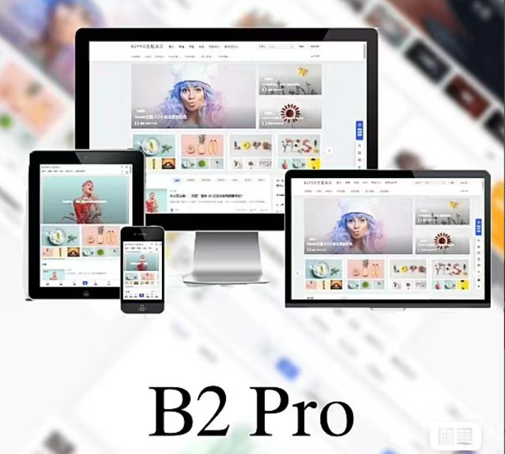 WordPress B2 Pro 主题5.2.0最新开心版,附带官方包体与授权文件-大雄搜集站