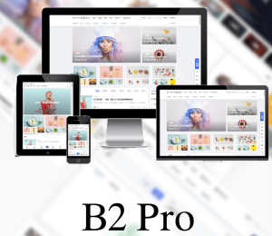 7B2 PRO主题5.4.2免授权直接安装-大雄搜集站