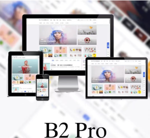 最新版7B2 PRO主题5.4.2 免授权开心版源码-大雄搜集站