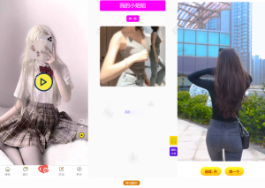 五套随机小姐姐短视频引流网站源码+最新API-大雄搜集站